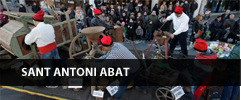 baner sant antoni abat 2019