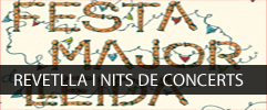 BANNER REVETLLA I NITS DE CONCERTS