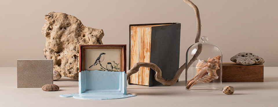 mud portada web festeslleida