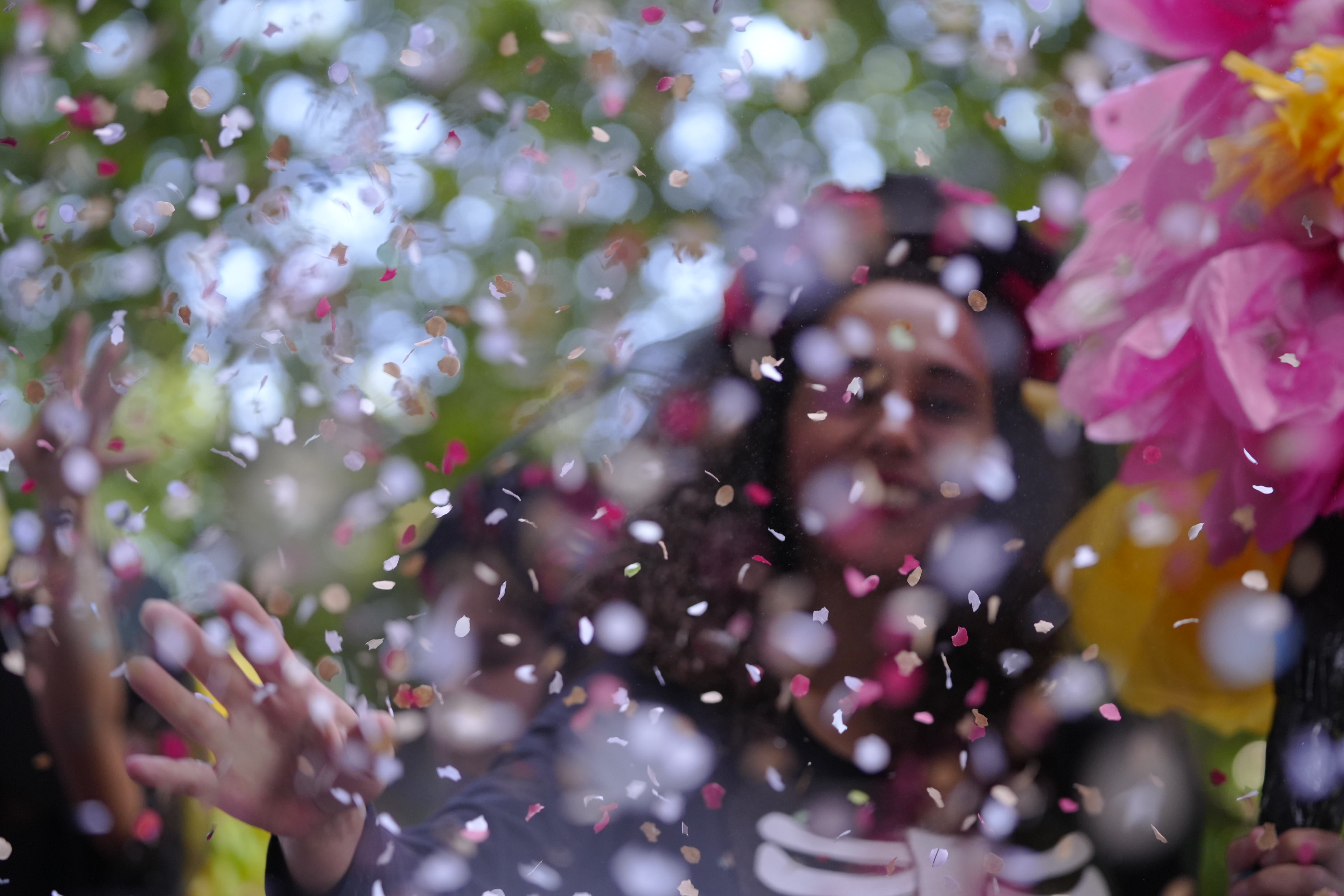 Batalla de flors (Mario) (1).JPG