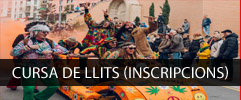 baner cursa de llits 2019