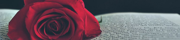 Sant Jordi (capçalera del web de cultura apartat de sant jordi)